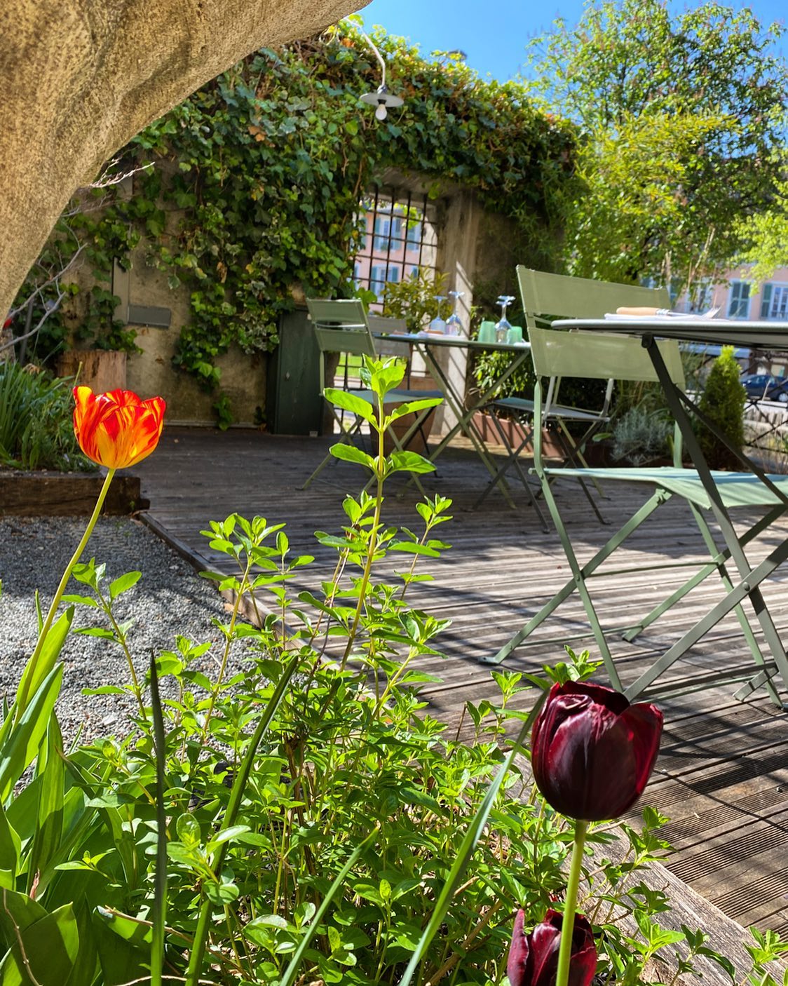 Le printemps 🌷le soleil ☀️la terrasse 😎
Bon mercredi à Chambery !! 🐘
.
.
.
#chambery #restaurantchambery #lavieestbelle